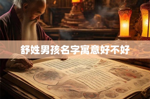 舒姓男孩名字寓意好不好