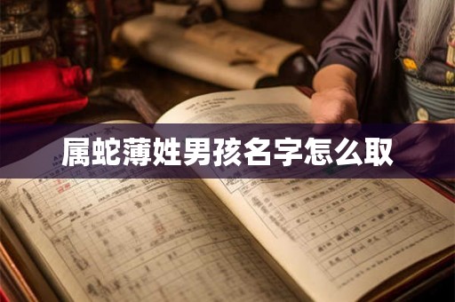 属蛇薄姓男孩名字怎么取