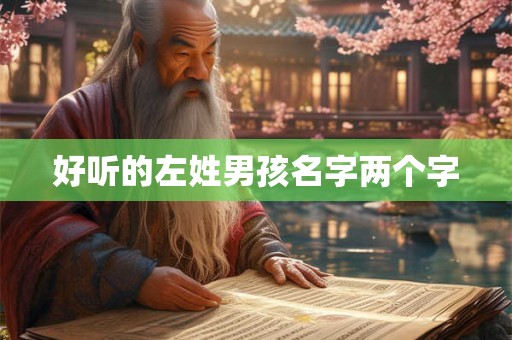好听的左姓男孩名字两个字